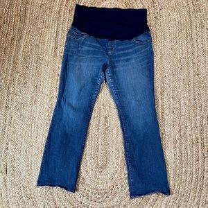 Liz Lange maternity plus size 18 bootcut